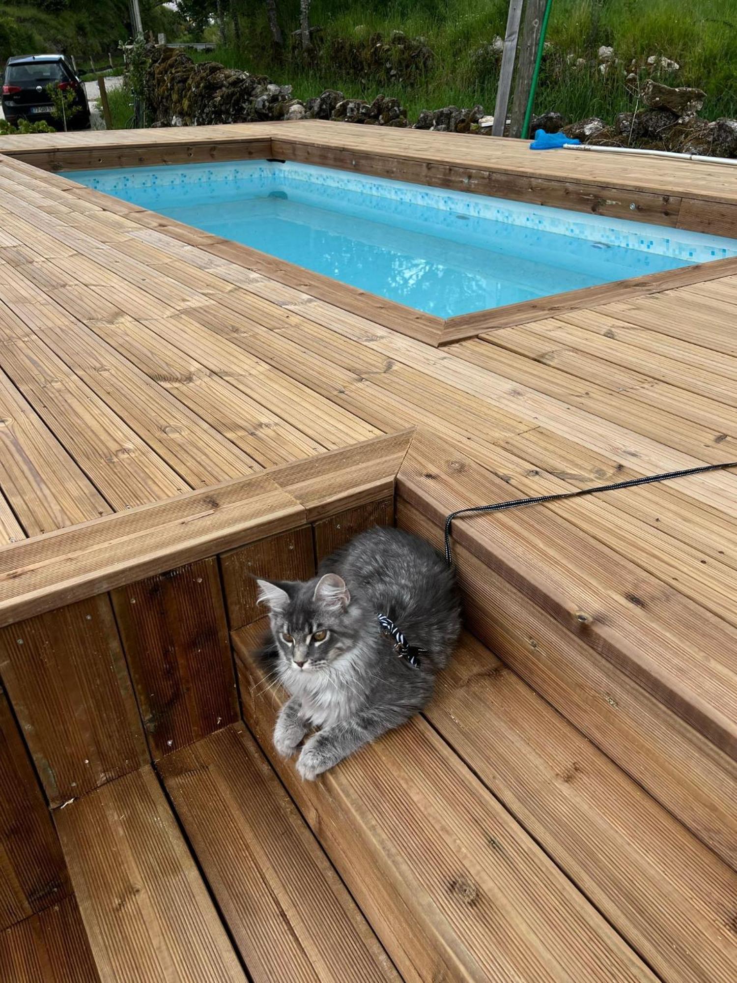 Ohana Geres House Ruivãis Exteriör bild